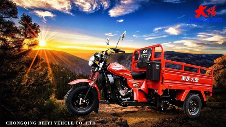3 Wheel Cargo Motorcycle 150CC  on sale