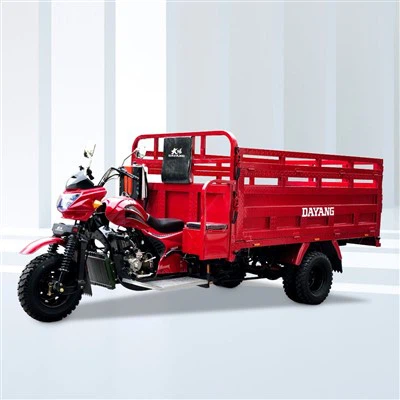 250cc 300cc 350cc Tùy chỉnh chuyên nghiệp các loại xe ba bánh chở hàng nông sản.