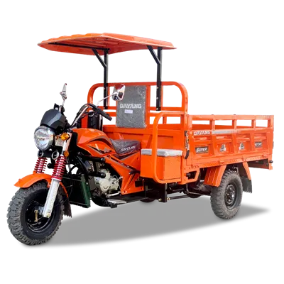 Xe máy ba bánh chở hàng 250cc